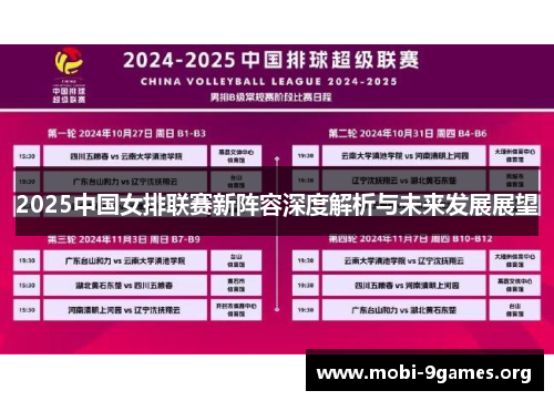 2025中国女排联赛新阵容深度解析与未来发展展望