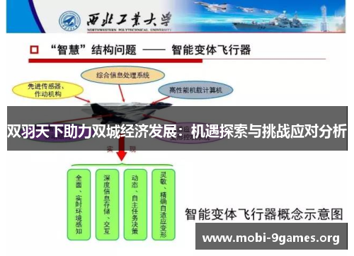 双羽天下助力双城经济发展：机遇探索与挑战应对分析