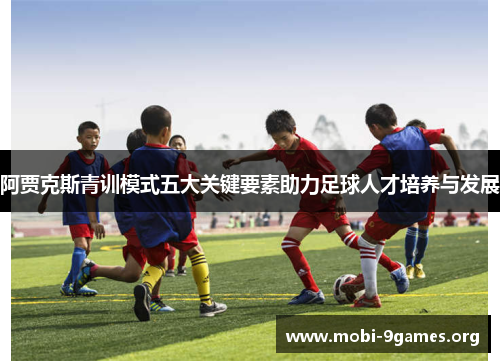 阿贾克斯青训模式五大关键要素助力足球人才培养与发展 阿贾克斯青训模式五大关键要素助力足球人才培养与发展