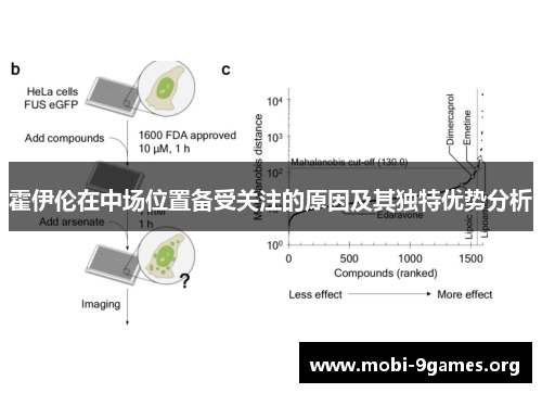 霍伊伦在中场位置备受关注的原因及其独特优势分析